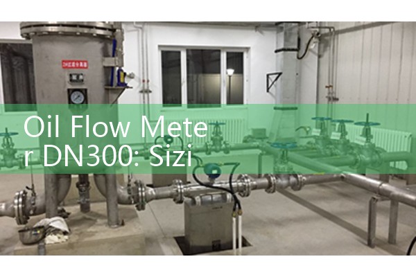Ruizhi air flow meter cleaning